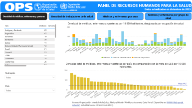 Human Resources for Health Indicators