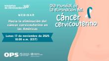 Webinar Hacia la eliminación del cáncer cervicouterino en las Américas (17 noviembre de 2025)